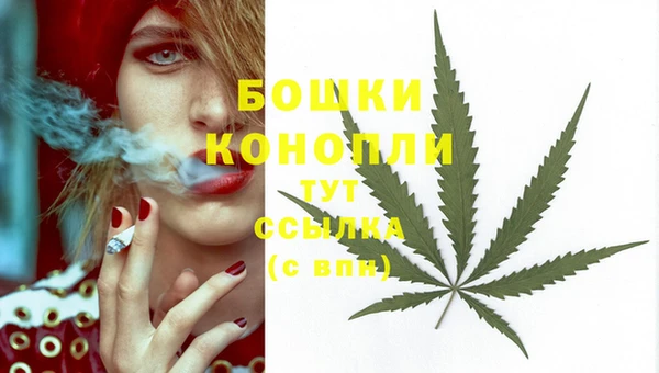 альфа пвп Новокубанск