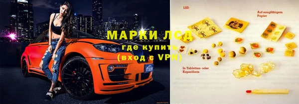 дживик Новозыбков