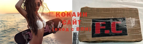дживик Новозыбков