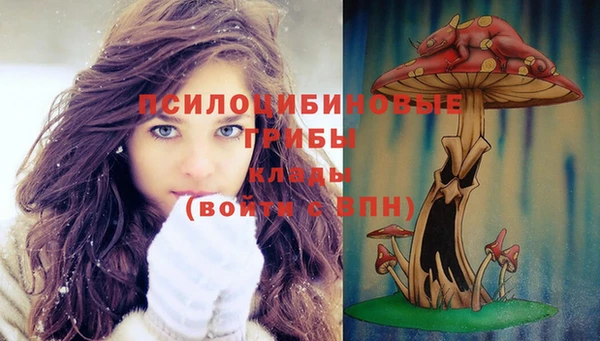 дживик Новозыбков